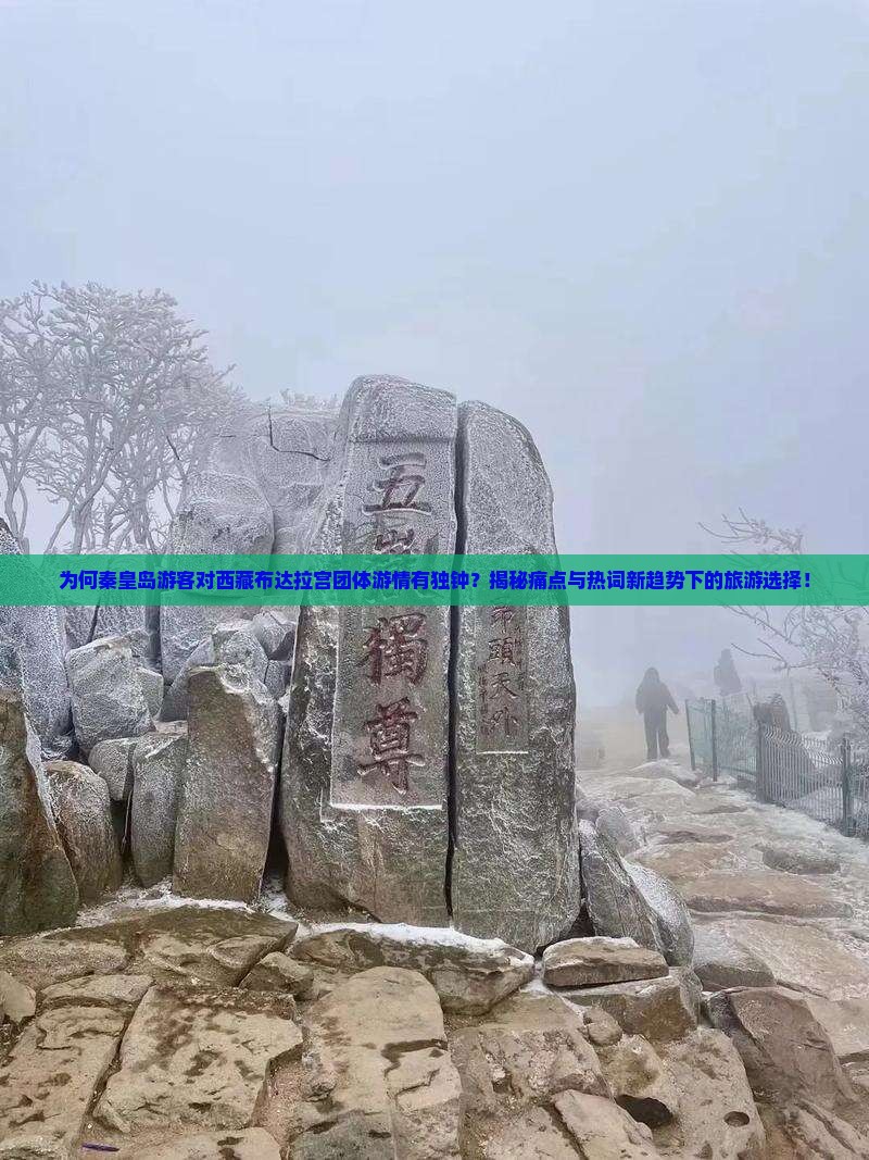 秦皇岛去西藏布达拉宫团体旅游