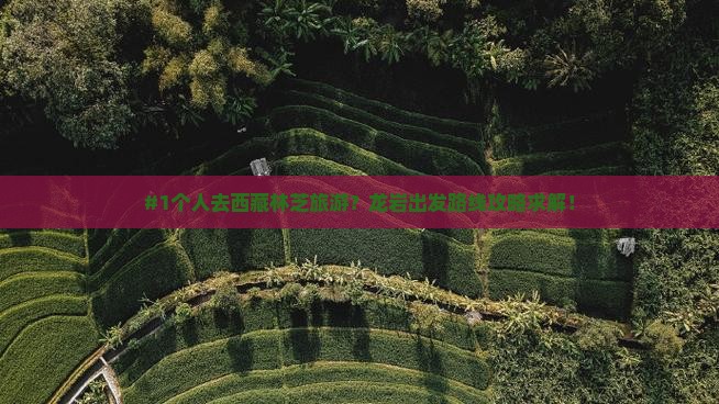 龙岩去西藏林芝个人游