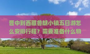 晋中去西藏鲁朗小镇五日游 晋中去西藏鲁朗小镇五日游