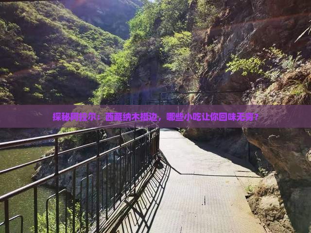 阿拉尔到西藏纳木措旅游小吃