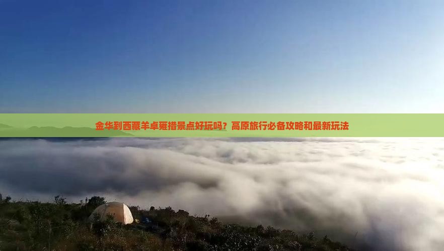 金华去西藏羊卓雍措景点
