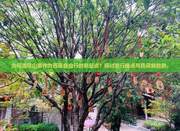 山南去西藏自由行