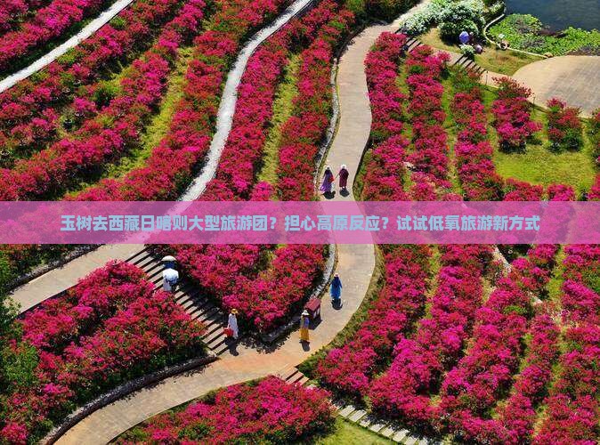 玉树去西藏日喀则大型旅游团