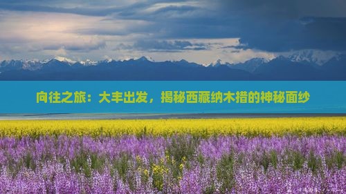 大丰到西藏纳木措景点