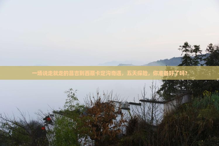 昌吉去西藏卡定沟五日游