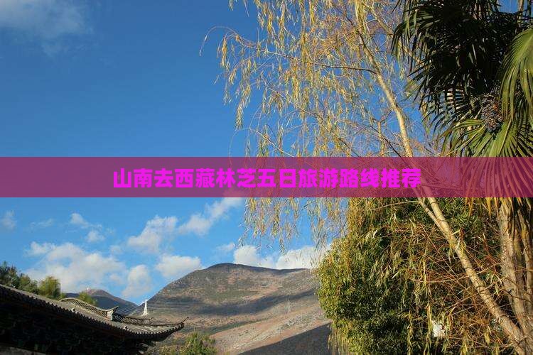 山南去西藏林芝五日游