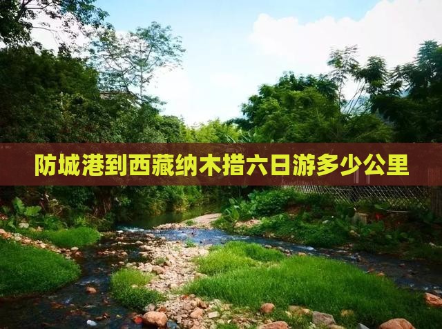 防城港到西藏纳木措六日游