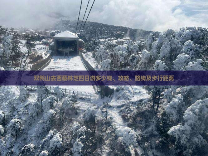 双鸭山去西藏林芝四日游