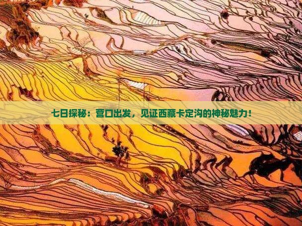 营口去西藏卡定沟七日游