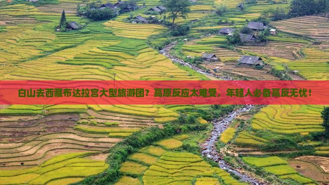 白山去西藏布达拉宫大型旅游团