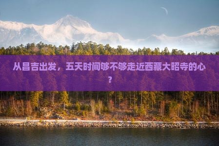 昌吉去西藏大昭寺五日游