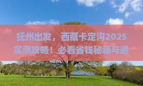 抚州到西藏卡定沟哪里玩