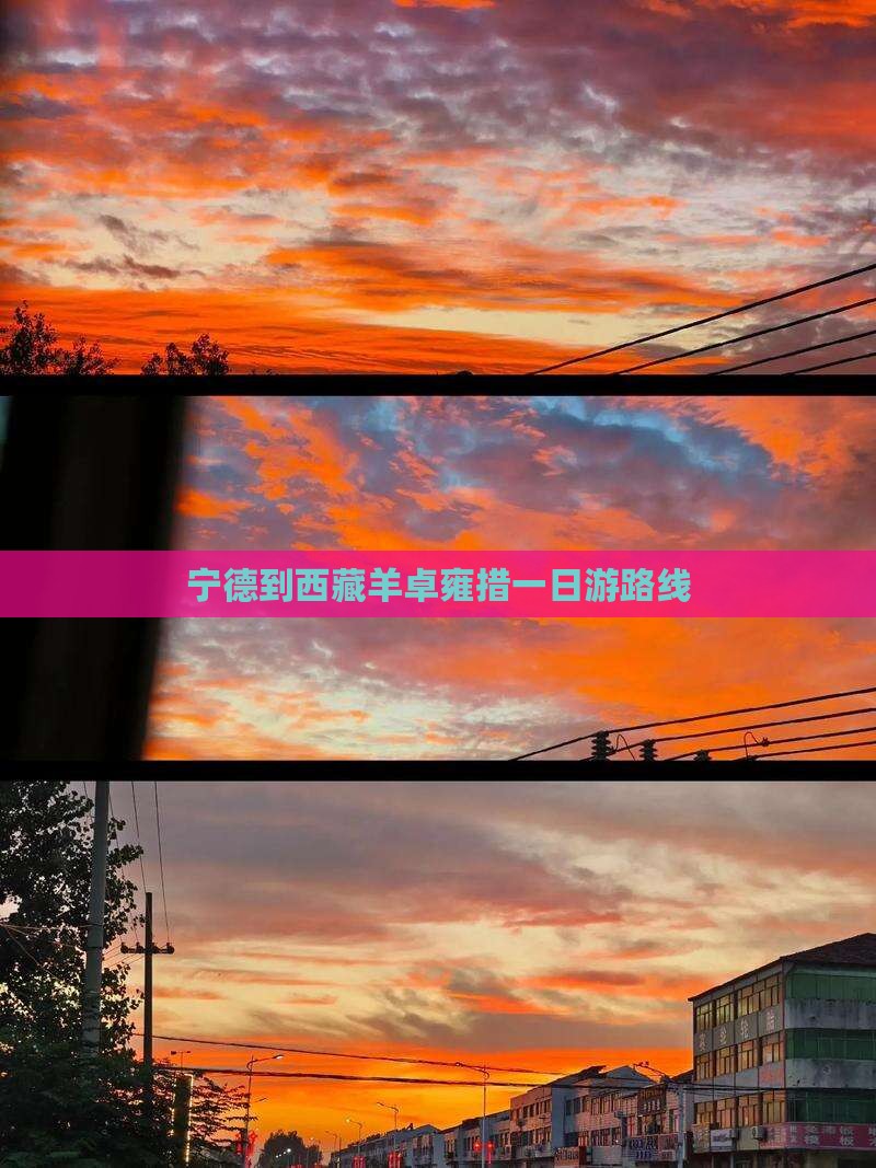 宁德到西藏羊卓雍措一日
