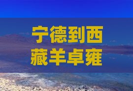 宁德到西藏羊卓雍措一日