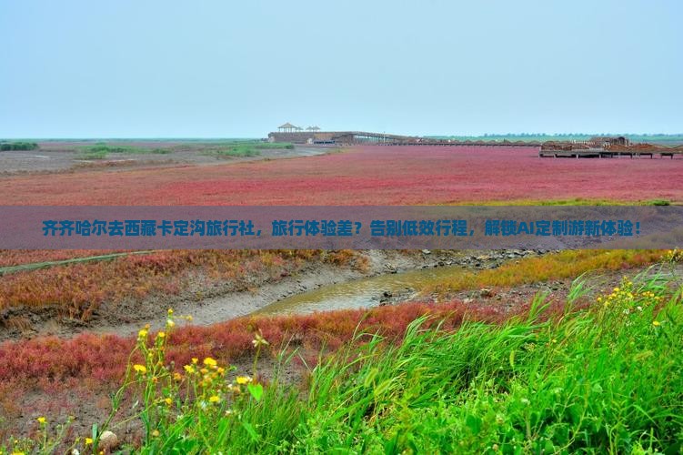 齐齐哈尔去西藏卡定沟旅行社