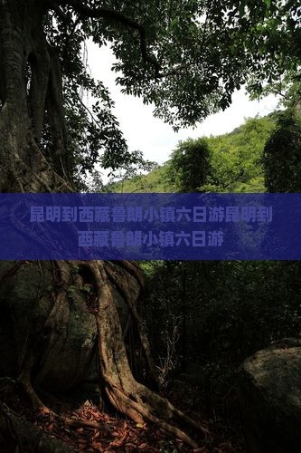 昆明到西藏鲁朗小镇六日游