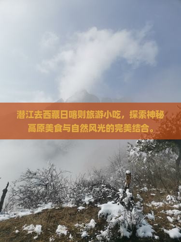 潜江去西藏日喀则旅游小吃
