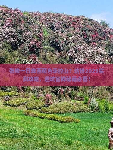 张掖到西藏色季拉山一日