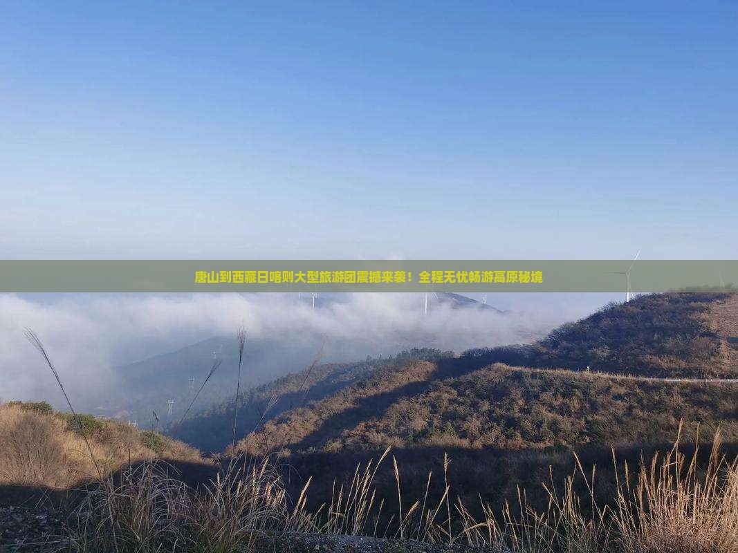 唐山到西藏日喀则大型旅游团