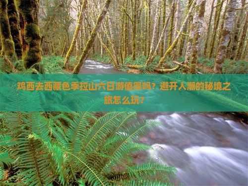 鸡西去西藏色季拉山六日游