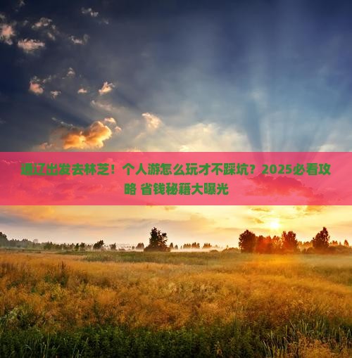 通辽去西藏林芝个人游