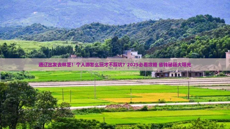 通辽去西藏林芝个人游