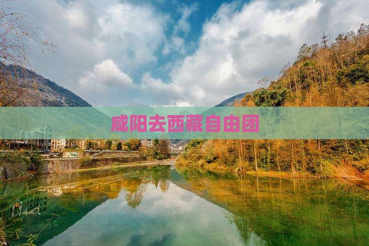 咸阳去西藏自由团