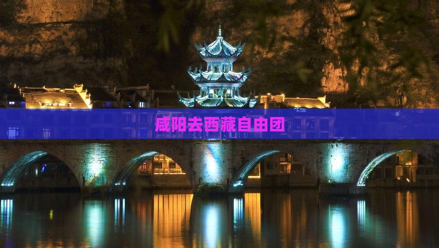咸阳去西藏自由团
