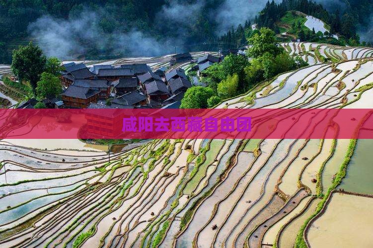 咸阳去西藏自由团