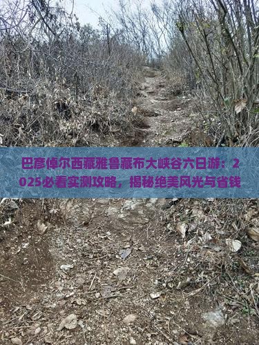 巴彦倬尔去西藏雅鲁藏布大峡谷六日游