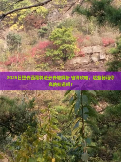日照去西藏林芝必去地