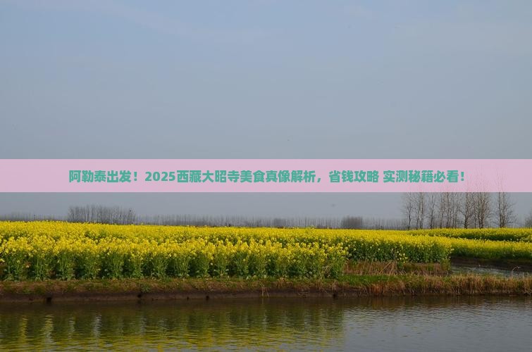 阿勒泰到西藏大昭寺旅游小吃