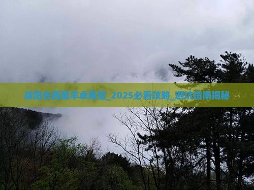 咸阳去西藏羊卓雍措大型旅游团