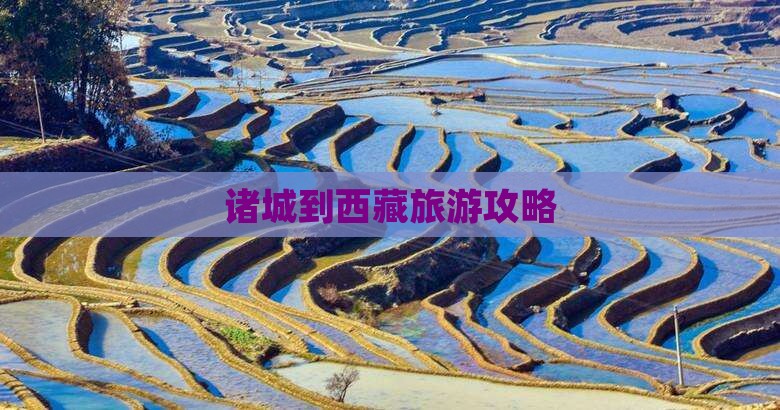 诸城到西藏自由行