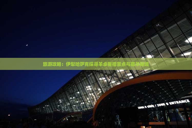 旅游攻略：伊犁哈萨克探寻羊卓雍措景点与藏羊秘境