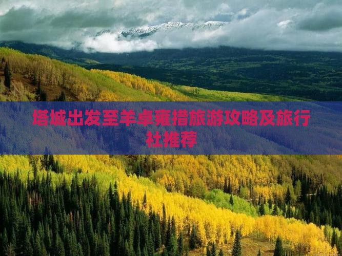 塔城出发至羊卓雍措旅游攻略及旅行社推荐