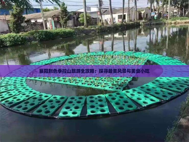 襄阳到色季拉山旅游全攻略：探寻最美风景与美食小吃