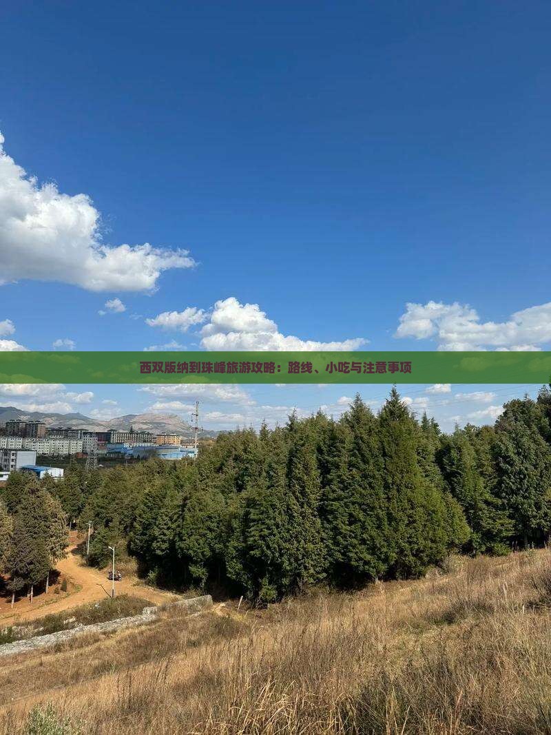 西双版纳到珠峰旅游攻略:路线、小吃与注意事项 西双版纳到珠峰旅游攻略:路线、小吃与注意事项