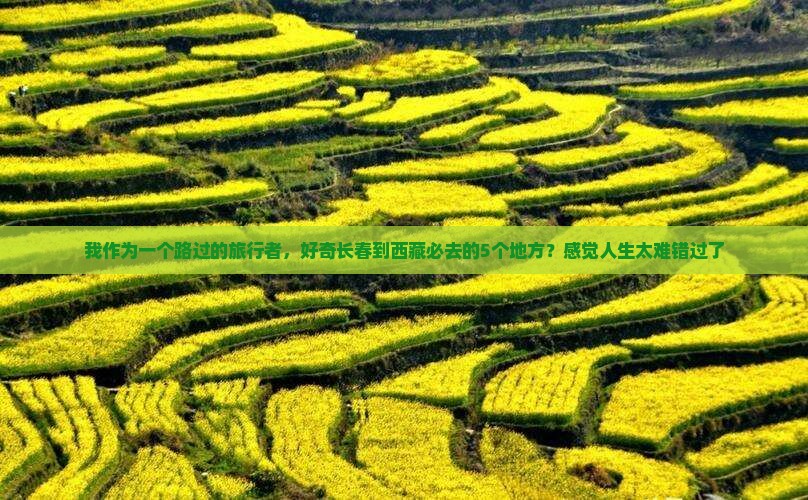 长春到西藏必去地