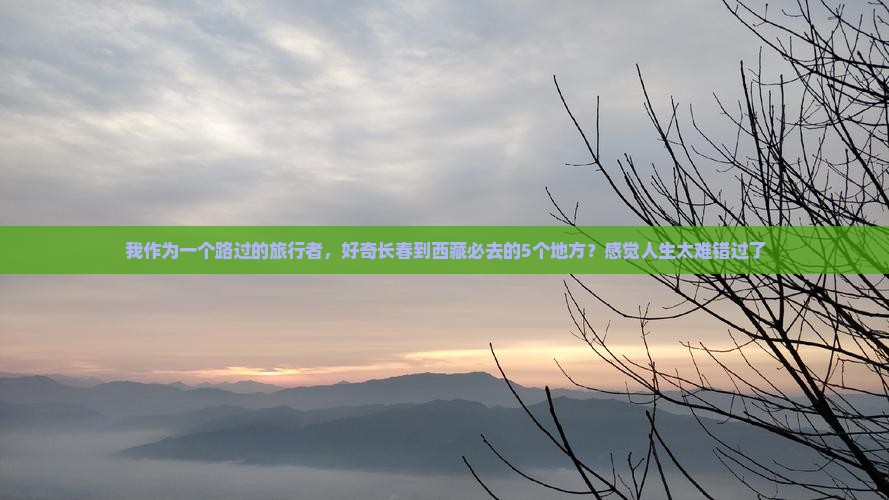 长春到西藏必去地