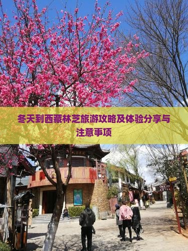 冬天到西藏林芝旅游