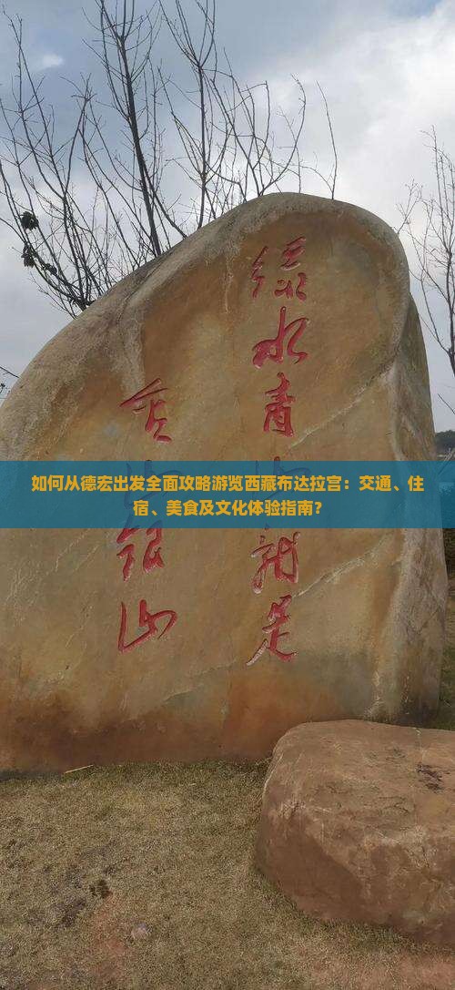 德宏到西藏布达拉宫攻略
