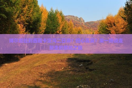 博尔塔拉到西藏卡定沟二日游