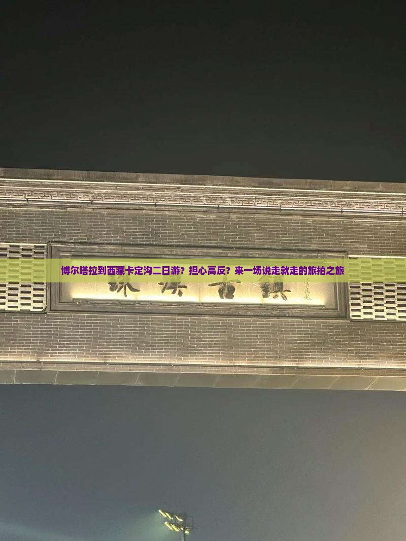 博尔塔拉到西藏卡定沟二日游