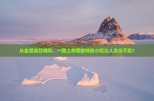 金昌到西藏日喀则旅游小吃