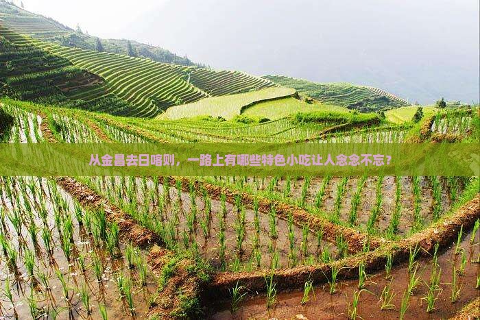 金昌到西藏日喀则旅游小吃