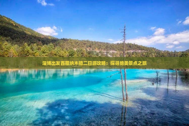 淄博到西藏纳木措二日游