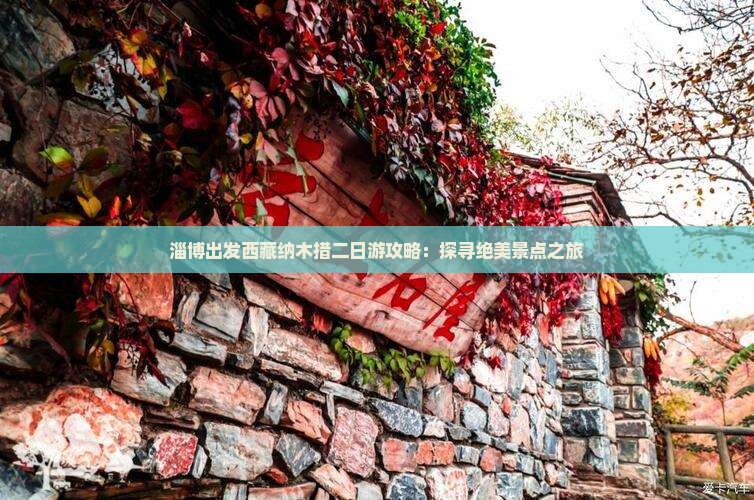 淄博到西藏纳木措二日游
