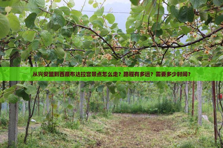 兴安盟到西藏布达拉宫景点
