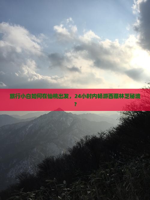 仙桃去西藏林芝一日